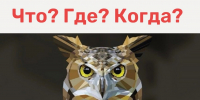 Интеллектуальная игра «Что? Где? Когда?» в Рузской центральной библиотеке - РузаРИА