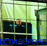 Виновный в гибели воронежской студентки отказался искупить вину на СВО - ГТРК Воронеж