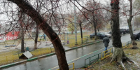 В Челябинской области продлили штормовое предупреждение из-за ветра до 24 м/с - Pchela.News