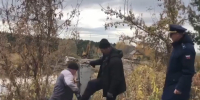 Фермер перегородил реку в Курганской области: доступ к воде восстановили после вмешательства прокуратуры - Область 45