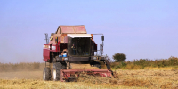 eb181e44-63d3-40e6-a082-6eca86c1ffa3.jpg - Администрация МР Кизлярского