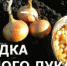 Подзимние посадки лука на зелень - Федоровский район