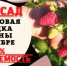 Посадка малины в октябре - Федоровский район