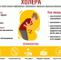 Холера - Роспотребнадзор
