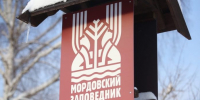 fUyMD_Y6KJc (1) (1) - Известия Мордовии