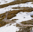 image - GazetaRB.Ru
