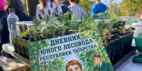Татарстанские школьники становятся исследователями леса - Лениногорские вести