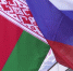 Совместные проекты Брянской области и Беларуси получат поддержку - Пламя Труда