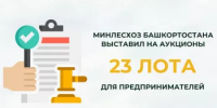 Минлесхоз Башкортостана выставил на аукционы 23 лота для предпринимателей - Министерство лесного хозяйства