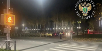 Сбитая на переходе в Зеленодольске девочка подключена к ИВЛ в ДРКБ - ТРК Татарстан-Новый век