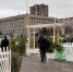 В Липецке готовят 82 точки для продажи новогодних ёлок - Gorod48.ru