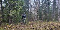 В Пинежском районе проводится проверка по факту гибели местного жителя в результате нападения крупного хищника - Следственный комитет