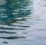 Вода - РИА 7 Новостей