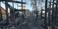 Погибшего нашли на пепелище в Сосново - 47 новостей