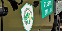 На прошлой неделе государственными лесными инспекторами республики проведены 639 патрулирований в лесах - Министерство лесного хозяйства