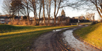 Карантин по бешенству досрочно сняли в пригороде Воронежа - Обозреватель.Врн