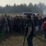На Дону продолжается экологическая акция «Сохраним лес» - Минприроды Ростовской области