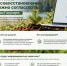 Согласовать проект лесовосстановления можно через Госуслуги - Министерство лесного хозяйства