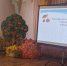Муниципальный практико-ориентированный семинар для учителей-дефектологов ДОУ - Управление образования