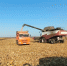 87d1b581-55fc-4007-bbec-84632015bdca.jpg - Ртищевский район