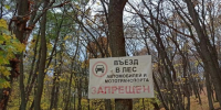 В лесах Саратовской области ограничили пребывание граждан из-за пожарной опасности - SaratovNews.Ru