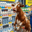 🥛 Акция в магазине «Лебединка»: скидки на молочную и мясную продукцию в мкр. Жуковского - Выкса.РФ