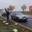 В парке «Родина» Великолепетихского округа высадили новые цветочные участки - Херсонское агентство новостей