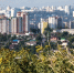 Конкурс на лучшие бренды 2026 года стартовал в Белгородской области - Сетевое издание Ивня онлайн