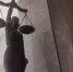 В Волгодонске мужчина получил три года «строгача» за ложное сообщение о минировании - DonDay.Ru