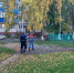 В Белгороде усилили патрулирование Гринёвки после нападения собак на ребёнка - Сетевое издание Победа 31