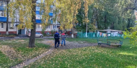 В Белгороде усилили патрулирование Гринёвки после нападения собак на ребёнка - Сетевое издание Победа 31