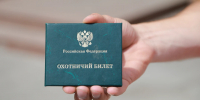 Житель Липецкой области пошел на дичь без собаки и лишился права на охоту - Комсомольская Правда