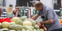 В ФАС заявили о стабильной ситуации с ценами на продукты - Spbdnevnik.ru