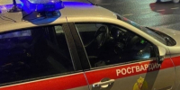 Молодого зацепера сняли с крыши автобуса в Петербурге. Перед этим он покорял Эрмитаж - 47 новостей