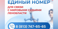 В Ленобласти введут единый телефон для связи со всеми мировыми судьями - ЛенТВ24