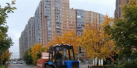 Еженедельный отчёт по комплексной уборке муниципальных территорий в Заневском городском поселении - Заневское городское поселение