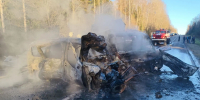 В лобовом столкновении под Окуловкой погиб 75-летний водитель - Газета Новгород
