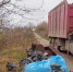 «Эко-Пронск» вывез 15 кубометров мусора с Тропы белого аиста на сортировку - Комсомольская Правда