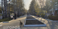 Агрессивных собак в Нижегородской области будут сажать на пожизненный срок - ProGorodNN.Ru