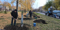 фото: автора, бульвар победы - Заинск-информ