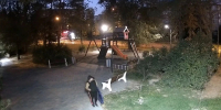 В Волжском неизвестная дама ночью украла качели с детской площадки - Комсомольская Правда