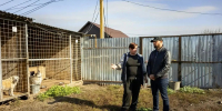 Евгений Маслов проверил приюты для бездомных животных в Курске - Городские Известия