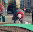 В Ярославле под зиму начали высаживать цветы - Комсомольская Правда