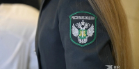 На Среднем Урале продавец семян допускал нарушения при продаже товара - КП Екатеринбург