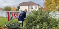 Осенний субботник - Центр соцобслуживания населения