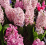 Картинка - Regions.Ru