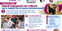 Учёные Московской ветеринарной академии завершают работу над новым породным типом соболя - МГАВМиБ им. К.И. Скрябина
