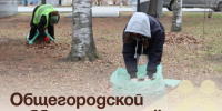 Общегородской субботник пройдёт в Артёме 23 октября  . - Администрация Артёмовского городского округа