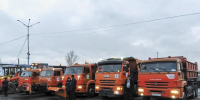 Не летают, но хорошо бегают - Газета Новая Причулымка