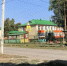 Почётный омич добился ликвидации городских лесов в Сибниисхозе - Om1.Ru